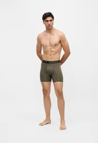 Björn Borg sports boxer briefs on model, full-length front view